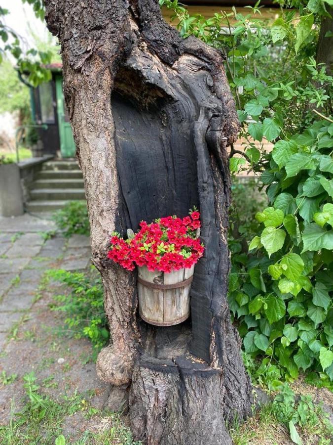 Old Summer House With Renovated Bathroom Прага Екстериор снимка
